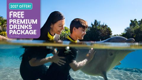 Discovery Cove Package Dolphin Non Swim