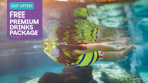 Discovery Cove Ultimate Package Dolphin Swim