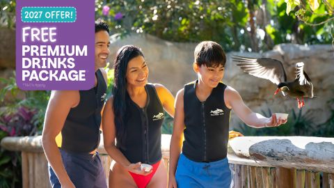 Discovery Cove Ultimate Package Non-Swim
