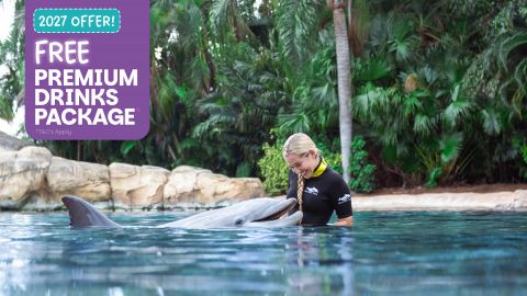Discovery Cove Package Dolphin Swim