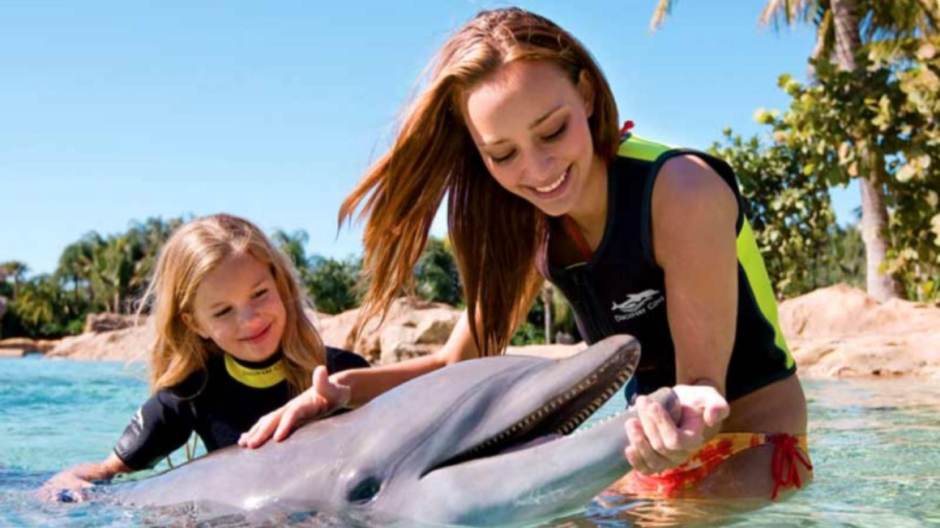 Discovery Cove Package Dolphin Swim