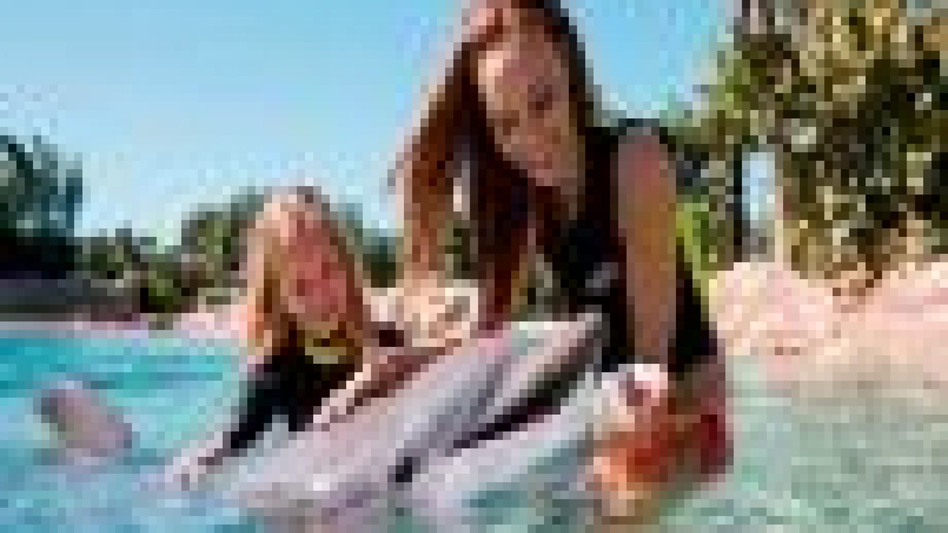 Discovery Cove Package Dolphin Swim