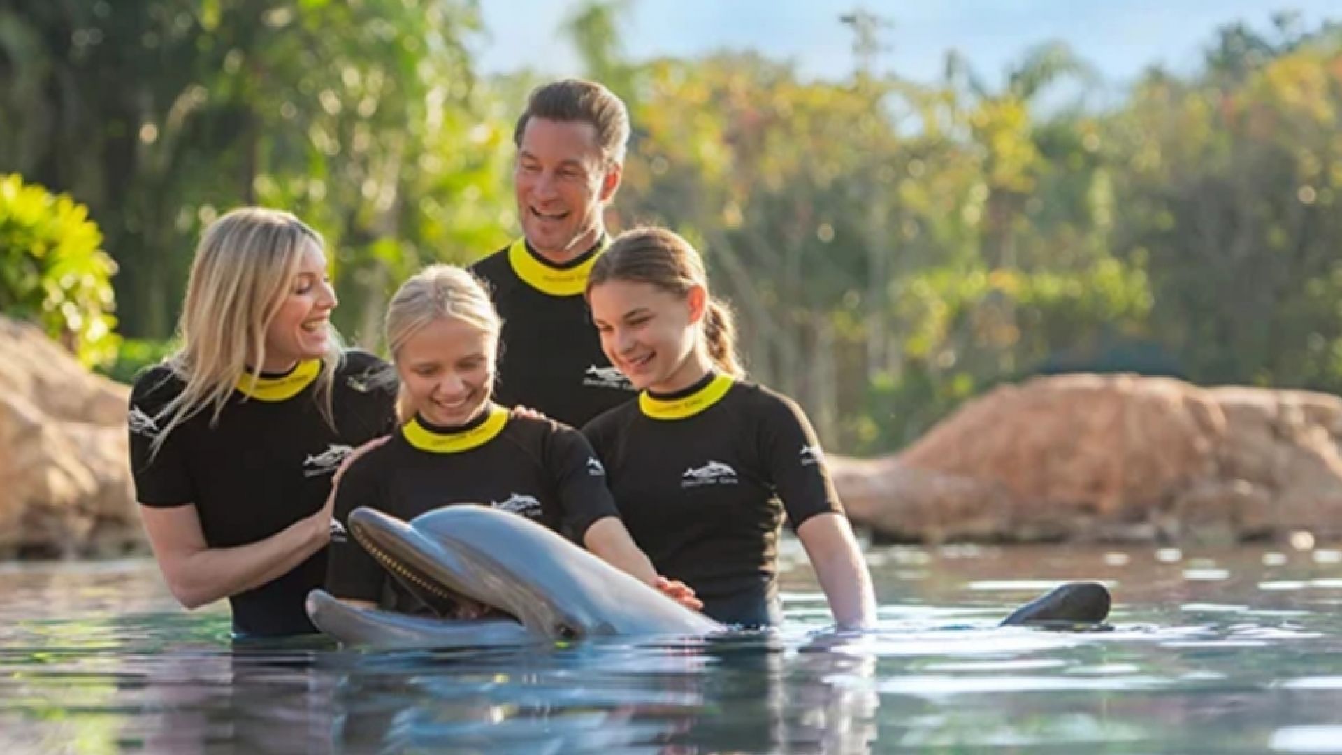 Discovery Cove Ultimate Package Dolphin Swim