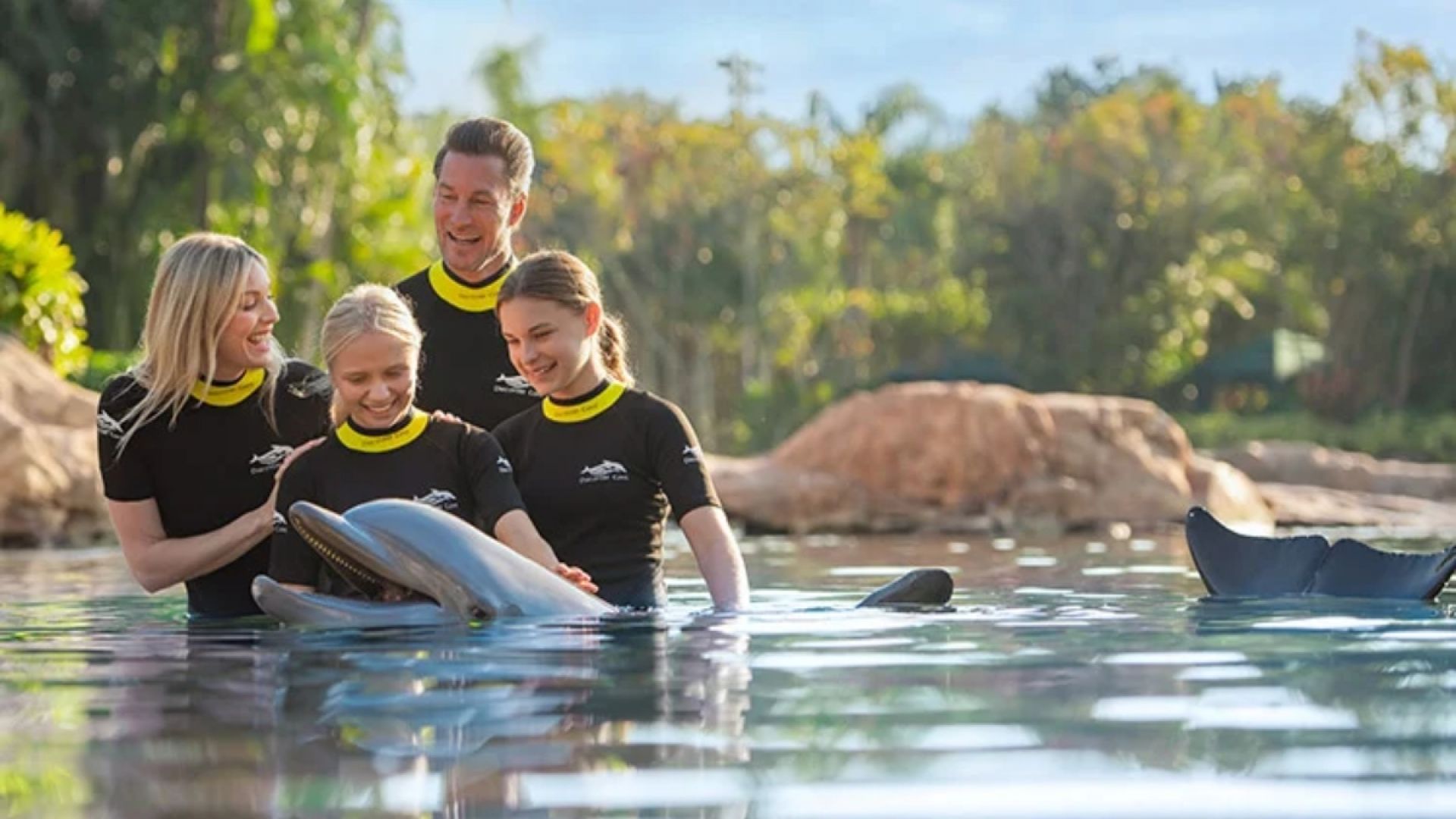 Discovery Cove Package Dolphin Non Swim