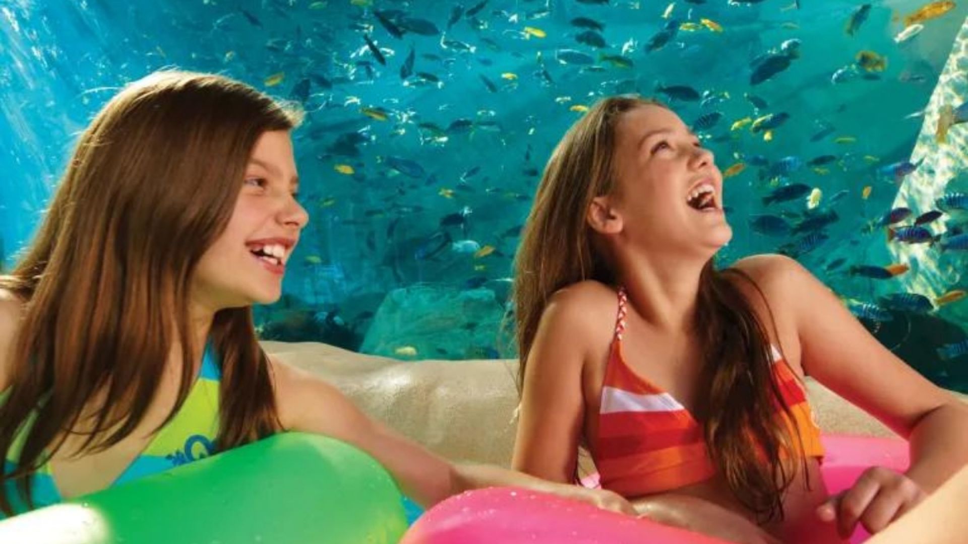 14 Day SeaWorld, Aquatica & Busch Gardens Ticket