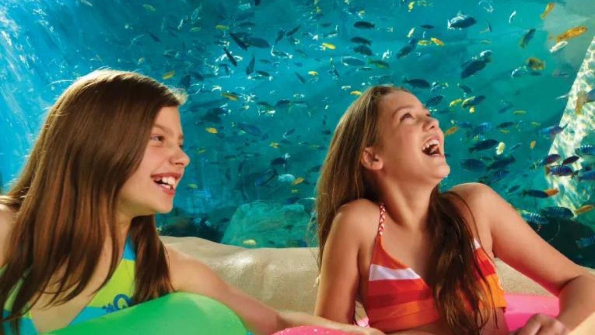 2 visits SeaWorld & Aquatica plus dine