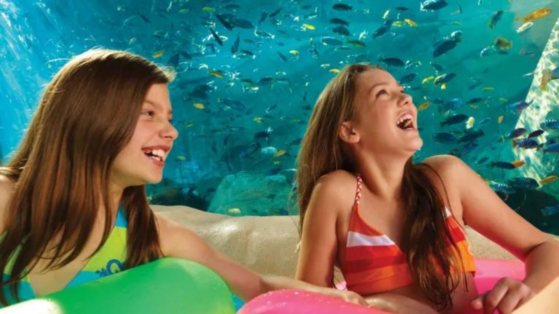 14 Day SeaWorld, Aquatica & Busch Gardens Ticket plus dine