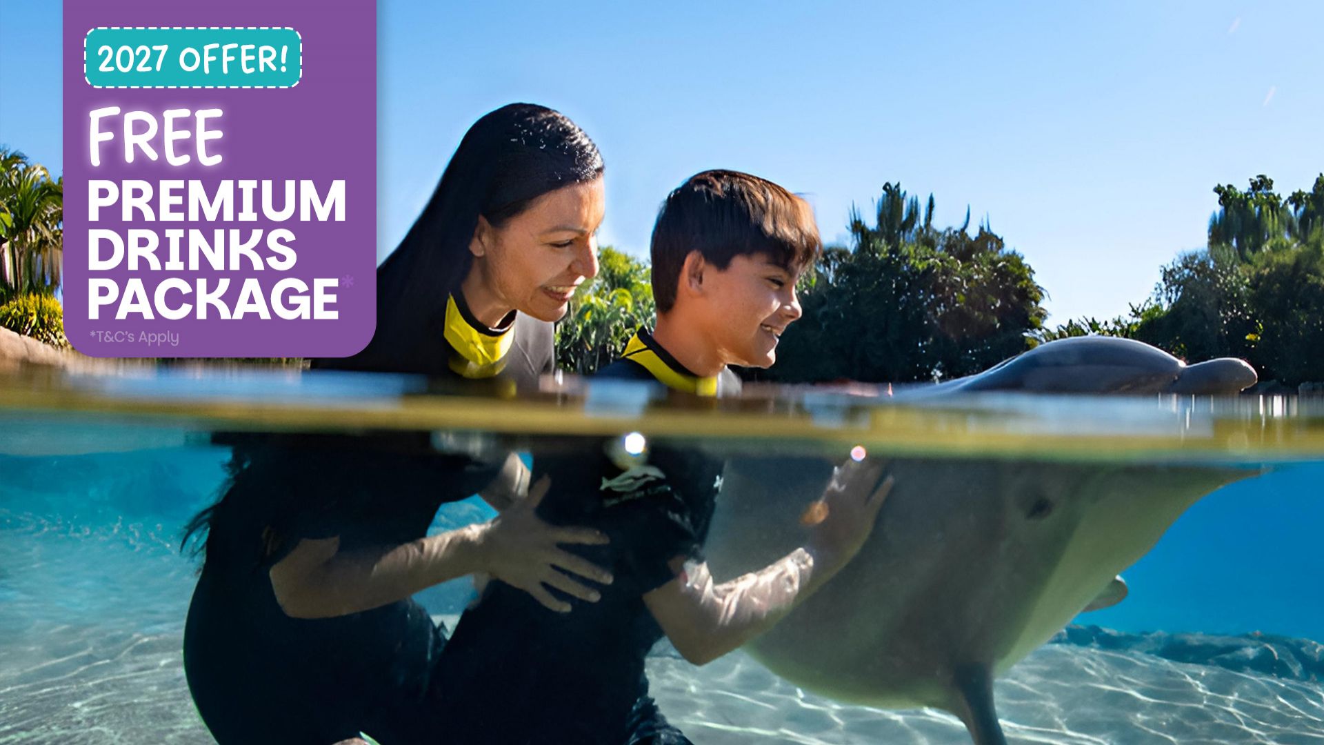 Discovery Cove Package Dolphin Non Swim