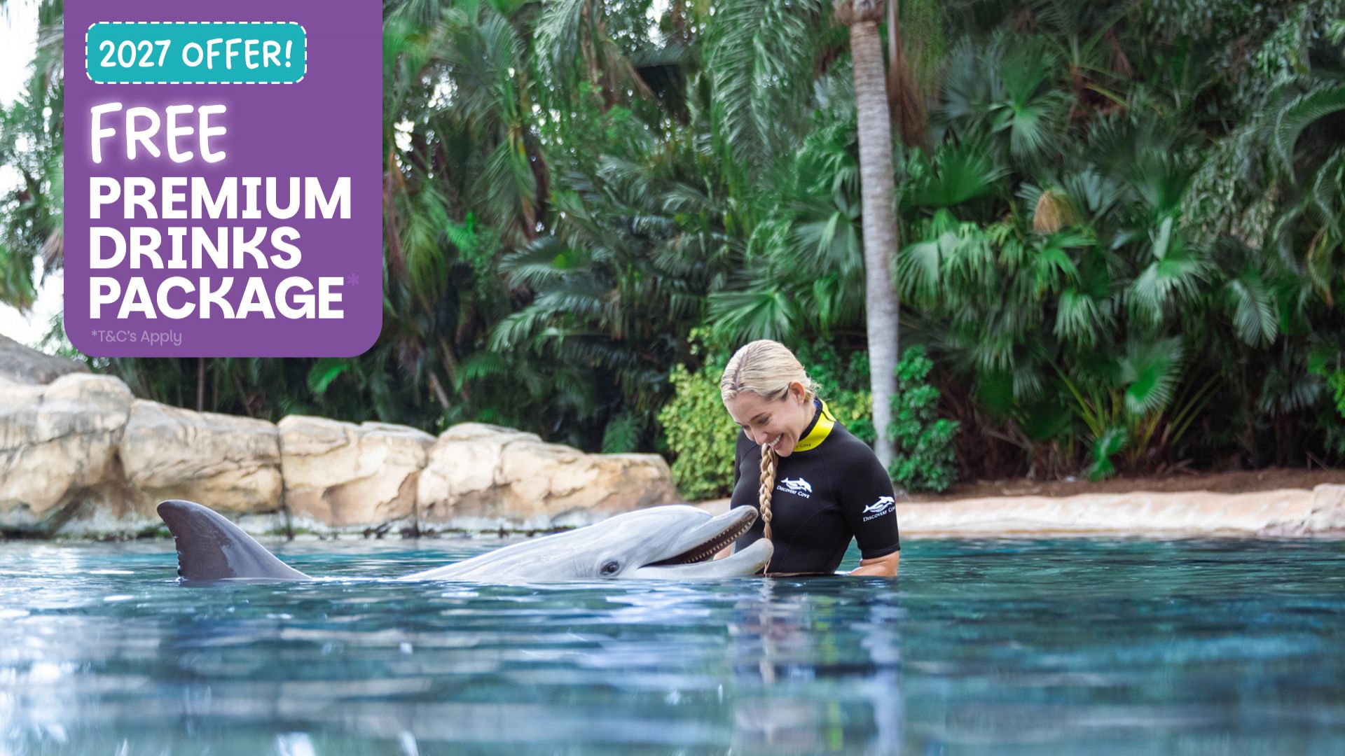 Discovery Cove Package Dolphin Swim