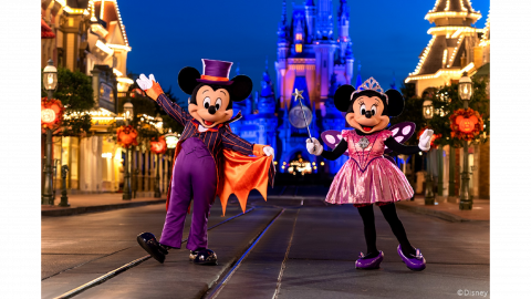 Disney Mickey’s Not So Scary Halloween Party Ticket 2022