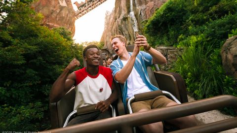 Disneyland California 5 Day 1 Park/Day with LL Pass