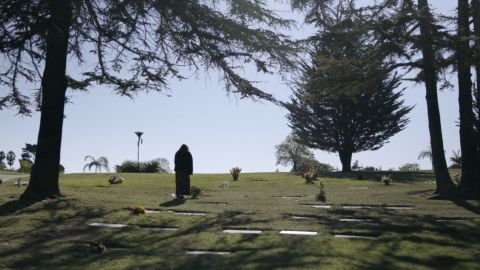 Documentary: Let's Say Goodbye to the Night