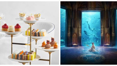 Afternoon Tea at Plato's (including unlimited tea and coffee)