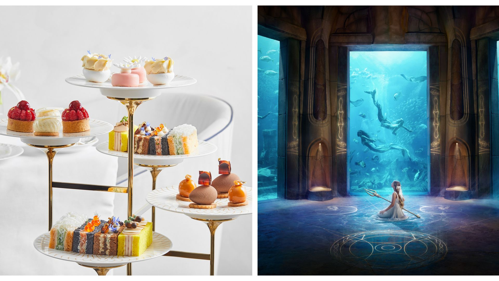 Afternoon Tea at Plato's (including unlimited tea and coffee)