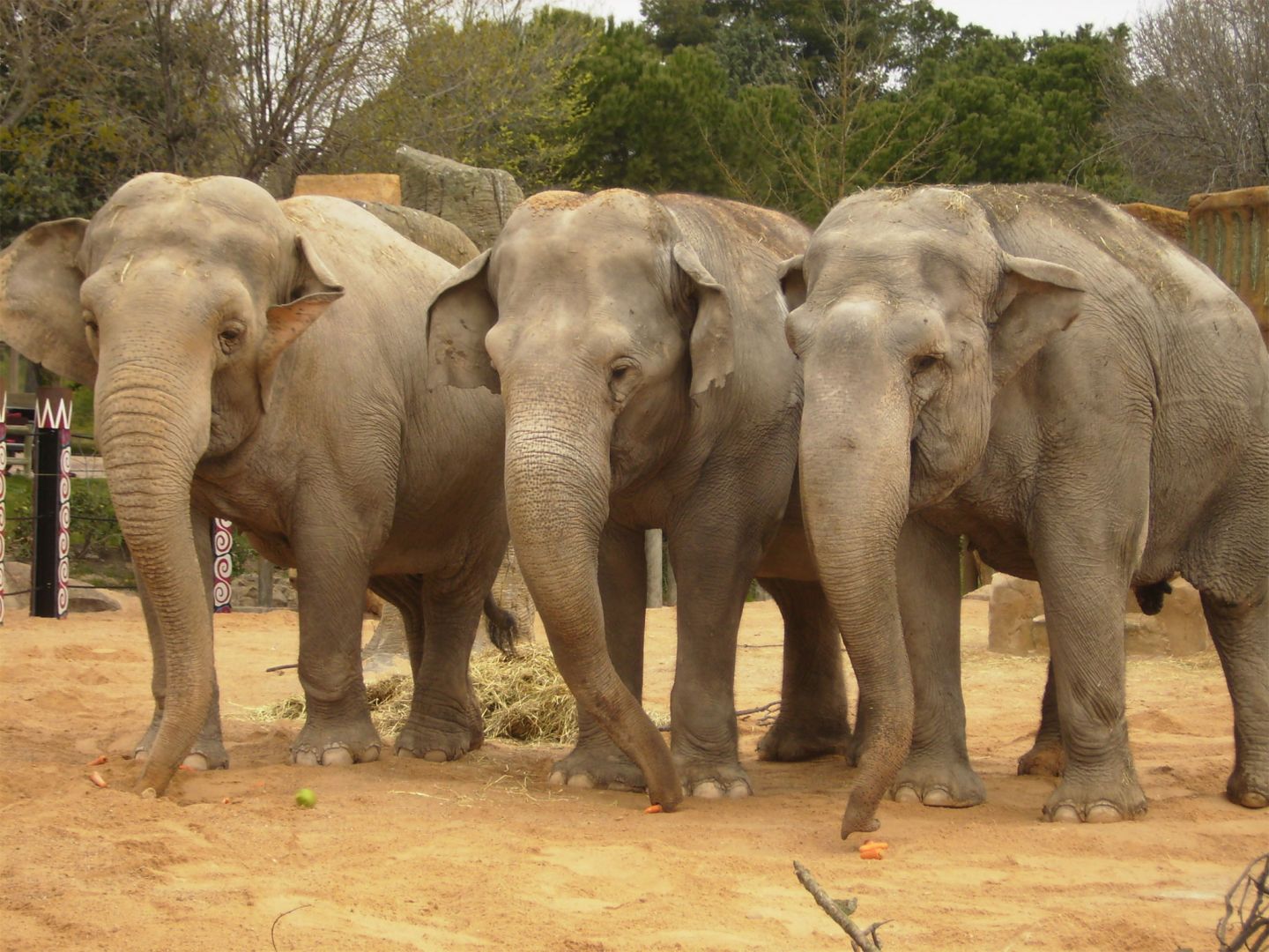 Zoo Aquarium Madrid: Entry Ticket