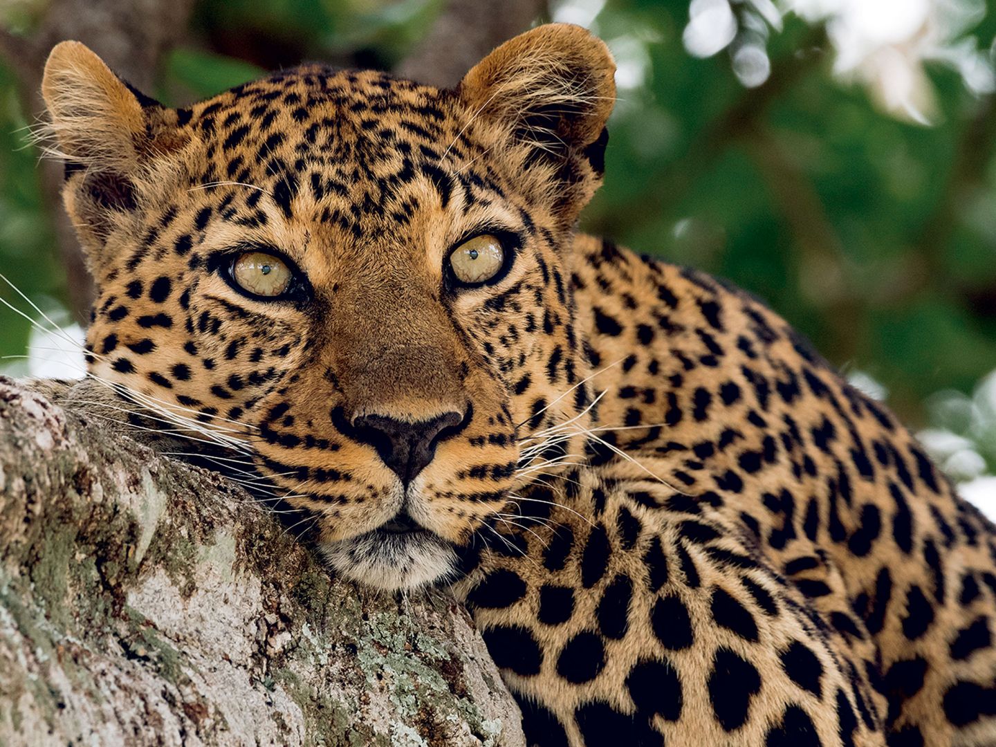 Zoo Aquarium Madrid: Entry Ticket