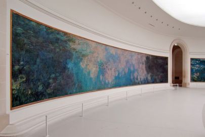 Musée de l'Orangerie: Private Guided Tour