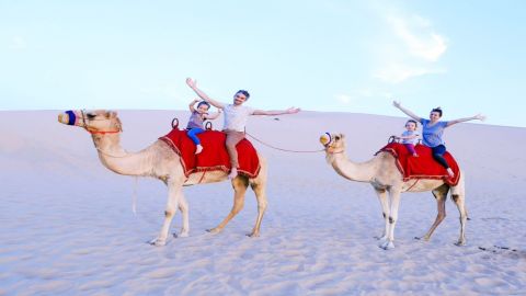 Camel Trekking Tour in Abu Dhabi - 1 Hour