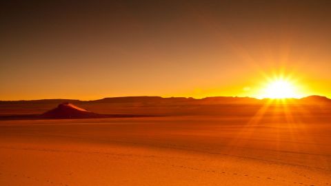 Desert Sunrise Safari in Abu Dhabi: Dune Bashing, Sand Boarding, Camel Ride
