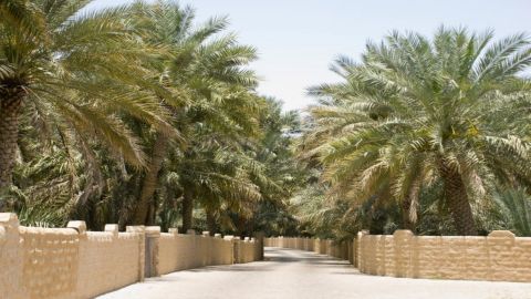 Al Ain City Tour from Abu Dhabi - Al Ain Sightseeing Tours