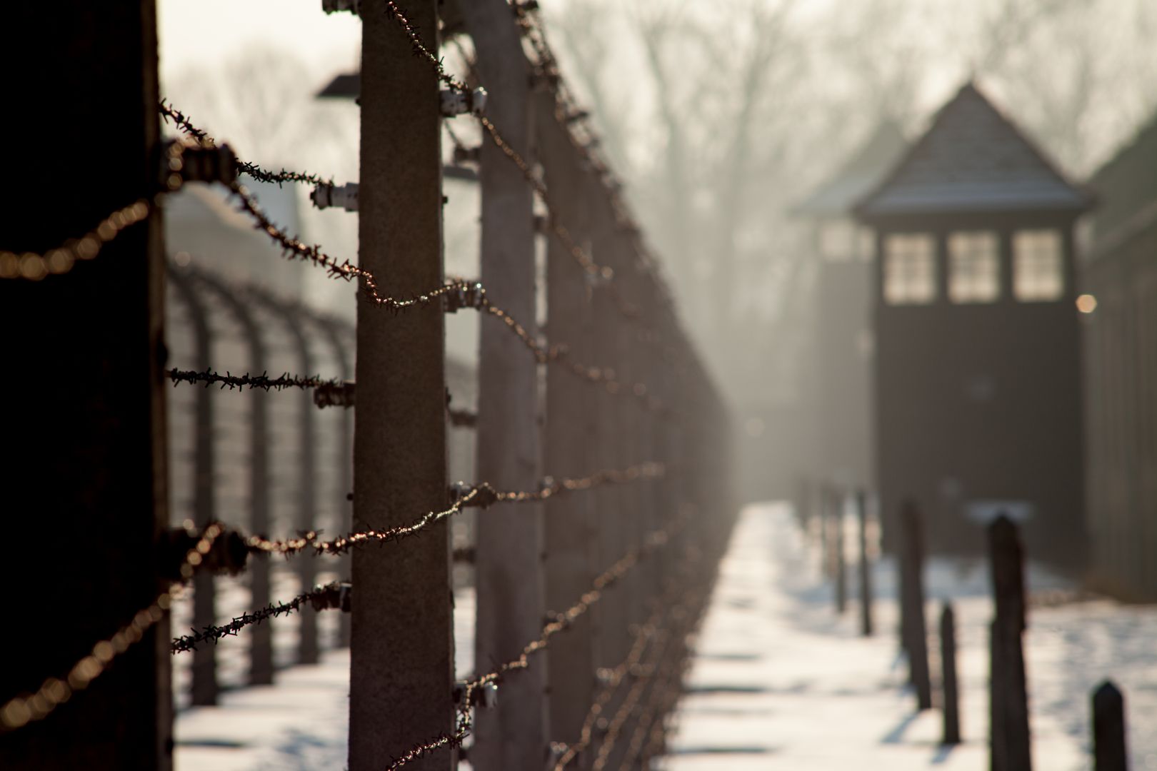 Auschwitz-Birkenau: Guided Tour + Transport
