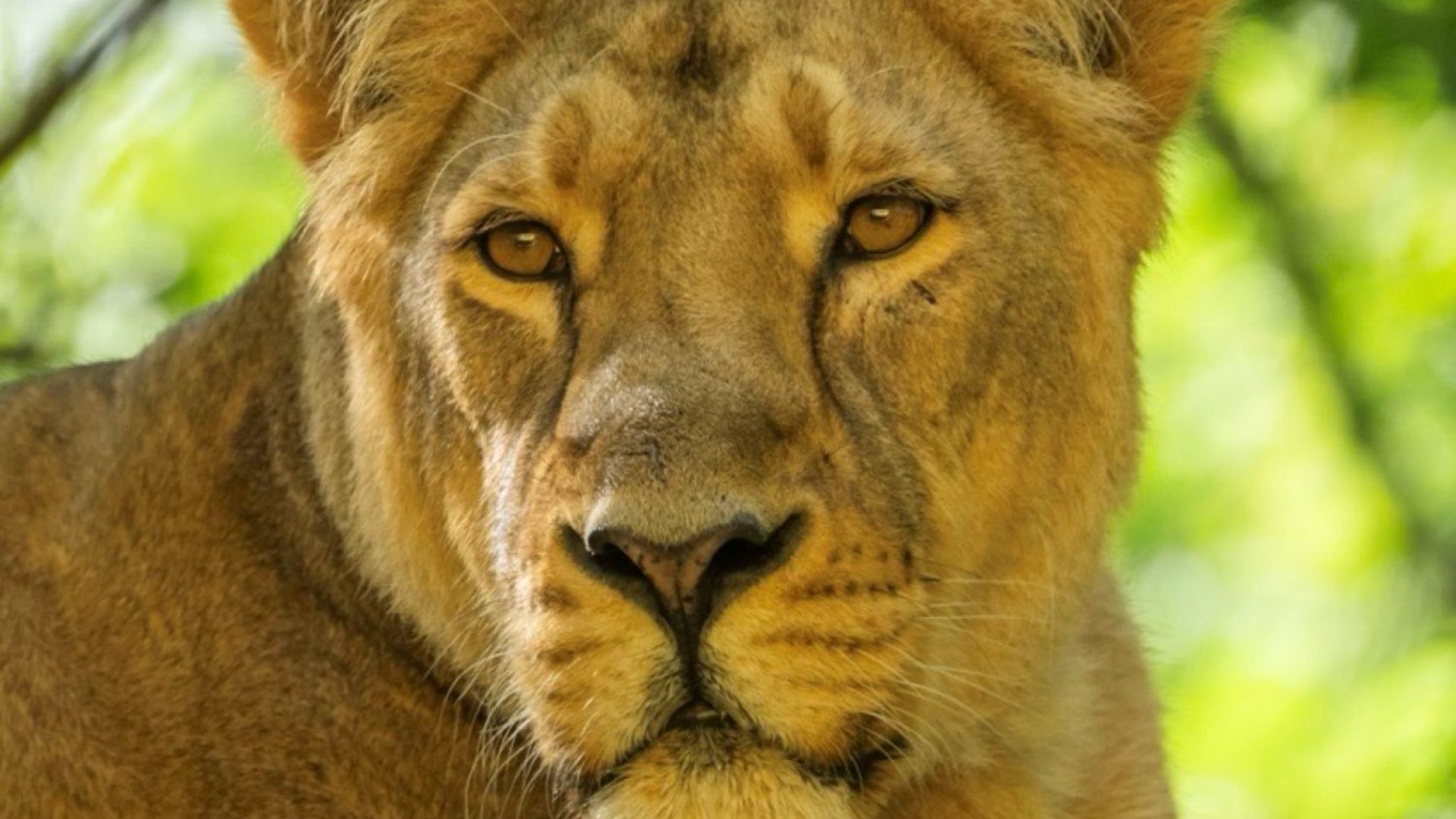 London Zoo
