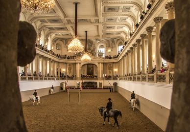 Horse Training at the Spanish Riding School