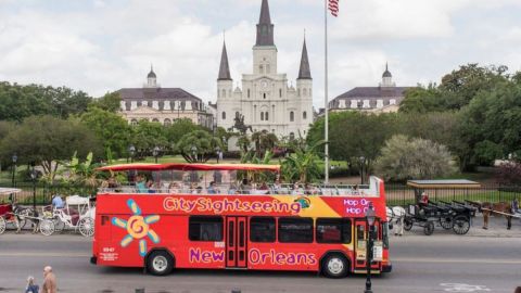 Hop-On Hop-Off New Orleans 1 day