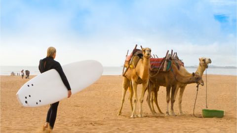 Full Day Tour and Surf Lesson in Essaouira from Marrakech