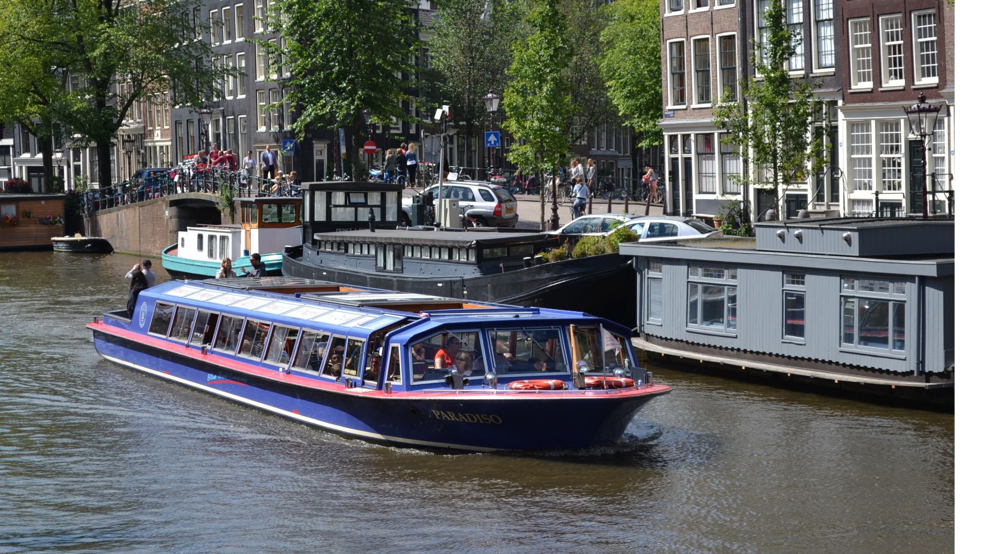 Gray Line Guided tour to Keukenhof Gardens, Tulip Farm:  Tulip Experience Amsterdam