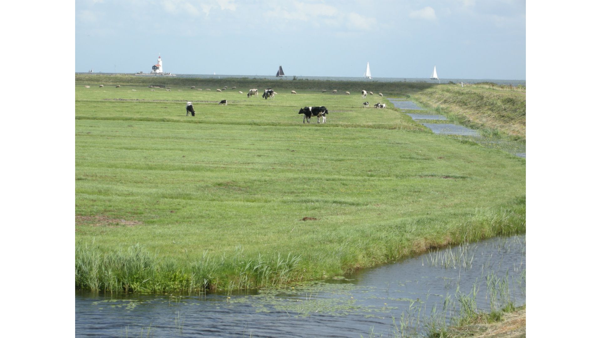 Gray Line Volendam and Zaanse Schans Windmills Live Guided Day Tour 