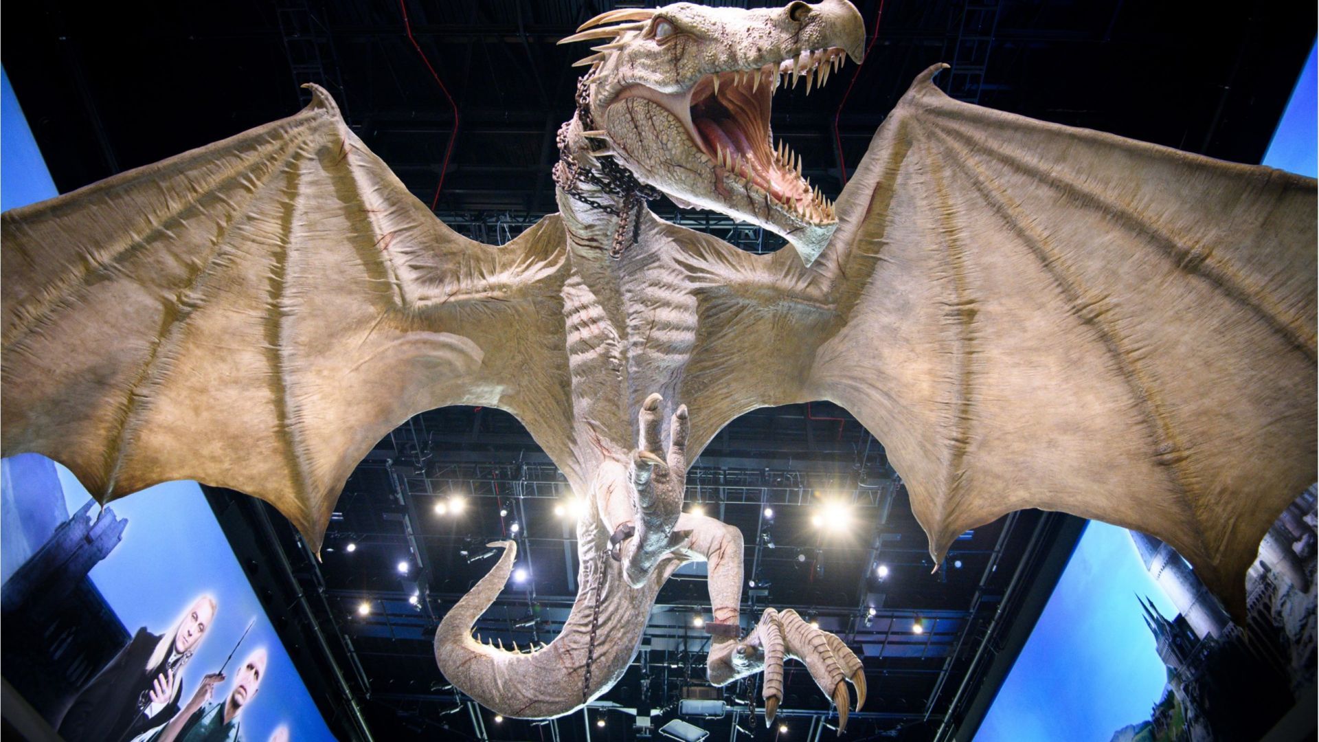 Warner Bros. Studio Tour London - The Making of Harry Potter with return transfers (Extended Tour)