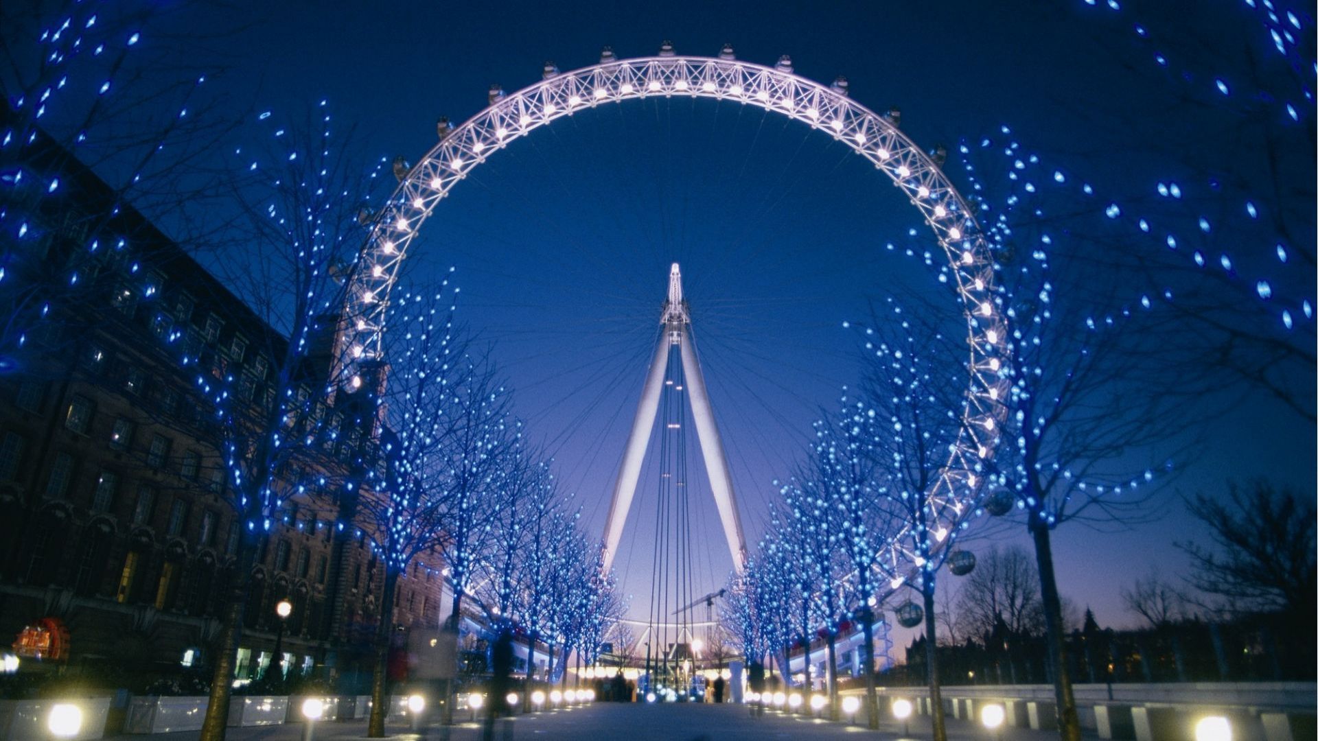 The London Eye illuminated at night