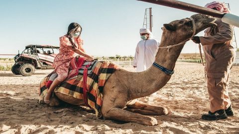 Camel Racing Dubai Tickets & Everything You Need to Know