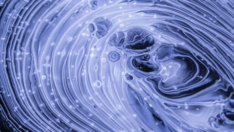 Half-Day Bike Rental