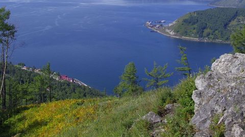 Main combi 1: hour type