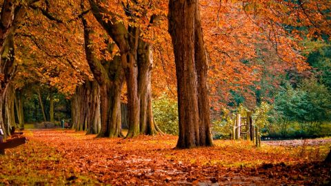 Reservation 2: Season starting in April 2028 & ending in Jan 2032