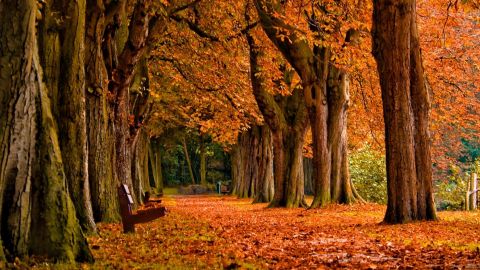 Bundle: 2 years season