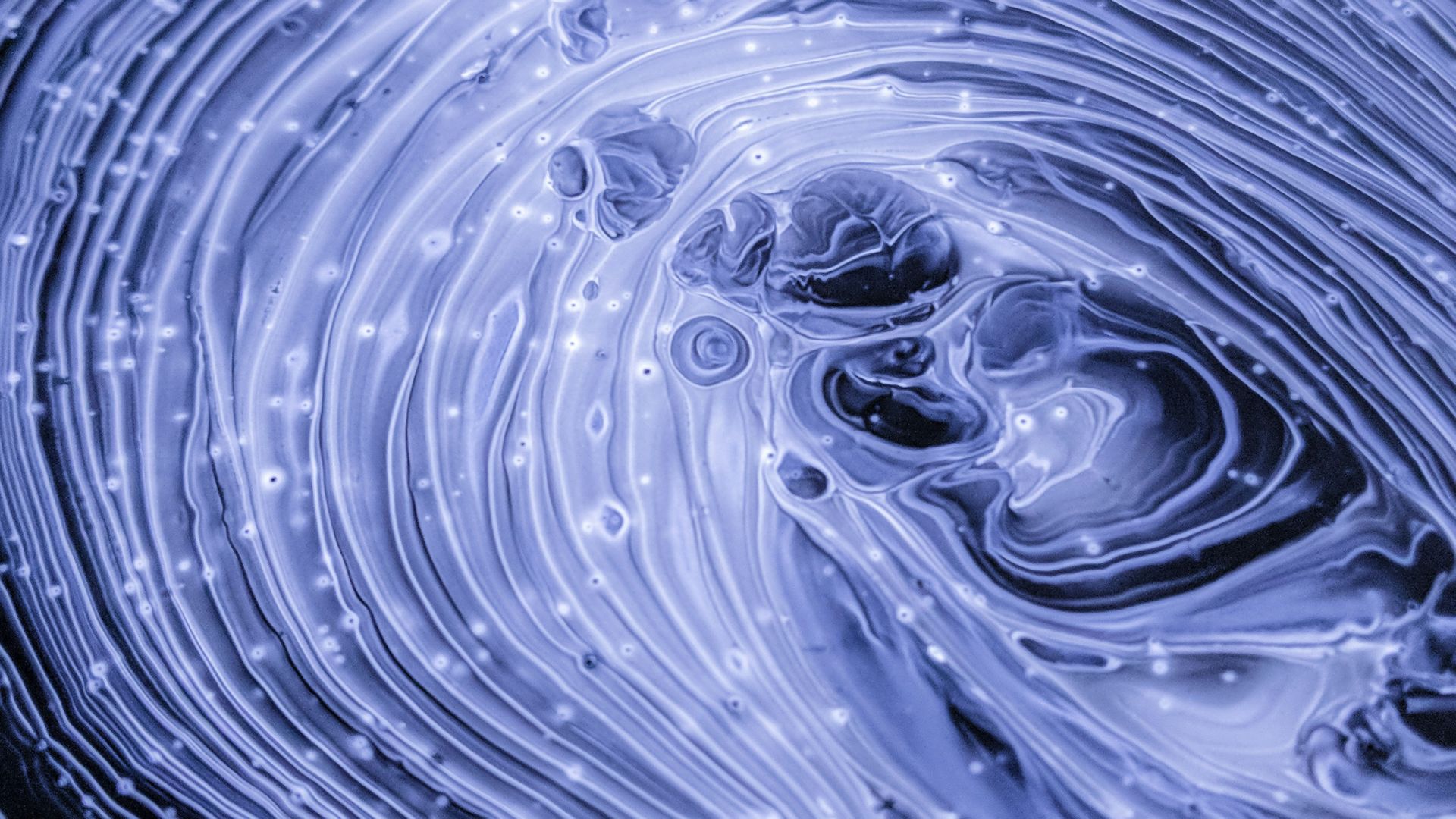 Rijksmuseum Entrance Ticket