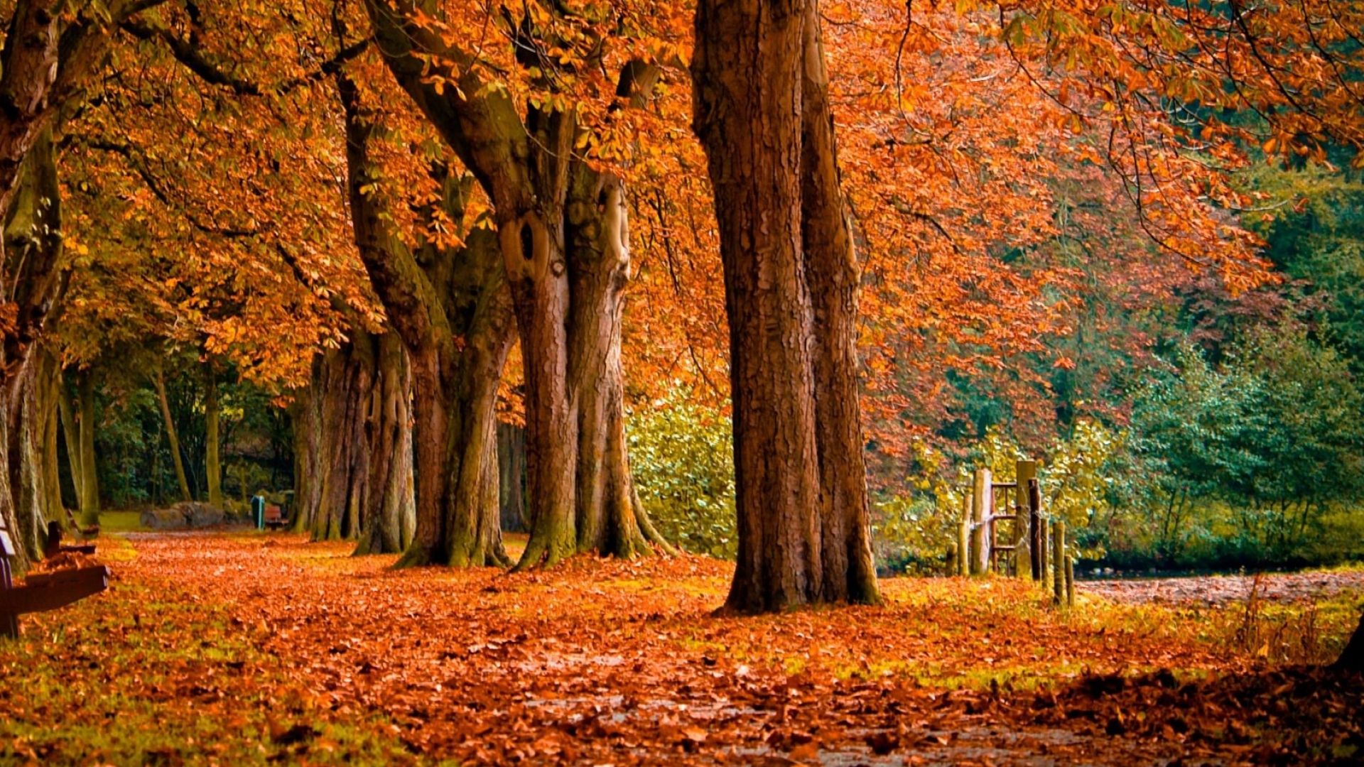 Reservation 2: Season starting in April 2028 & ending in Jan 2032