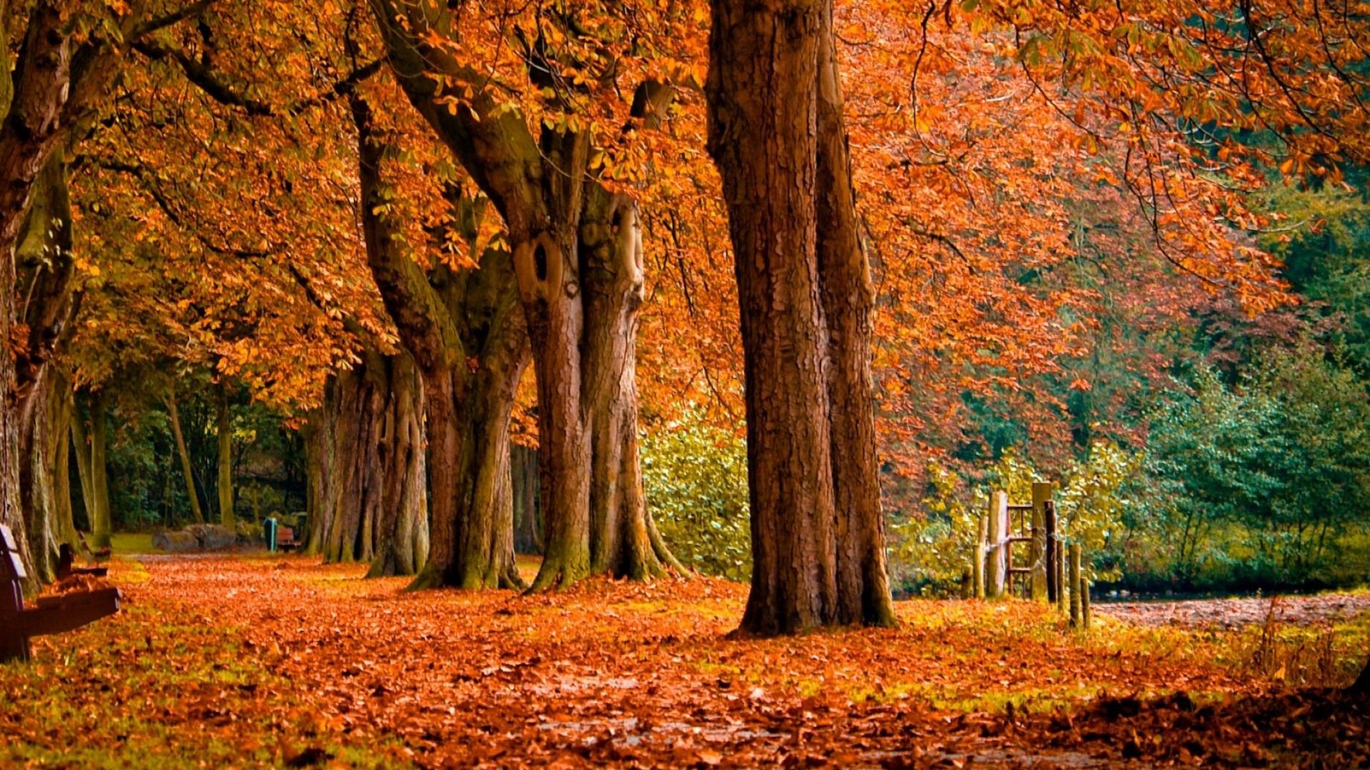 Combi 1: Season & availability after 2 years