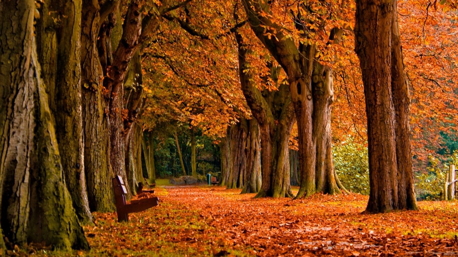 Bundle: 2 years season