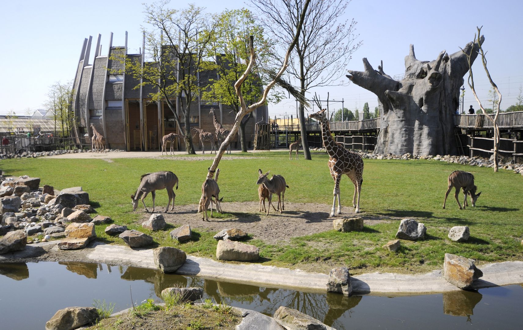 Blijdorp Rotterdam Zoo: Skip The Line Ticket