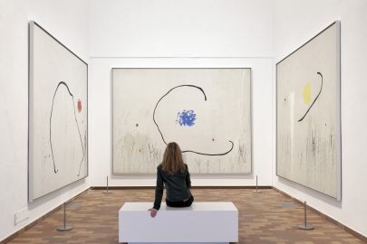 Fundació Joan Miró: Skip The Line Ticket