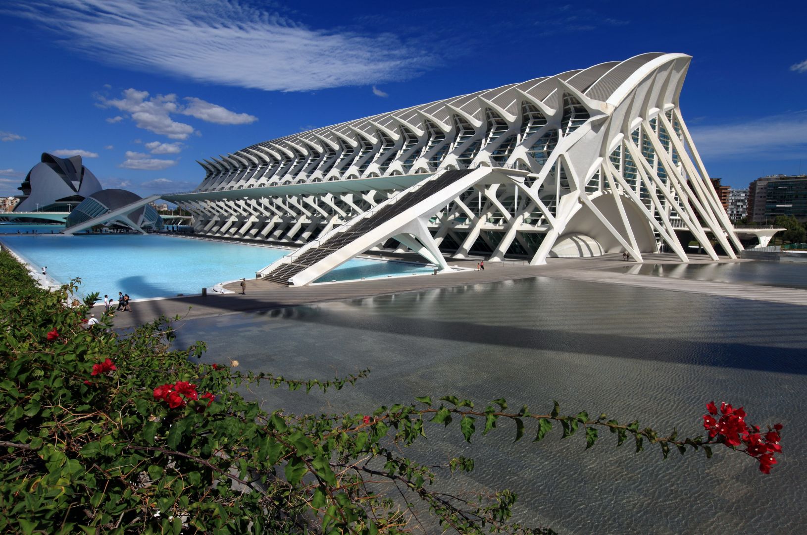 Science Museum Valencia: Skip The Line Ticket