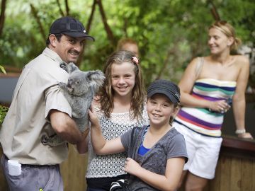 Hartley's Crocodile Adventures: Roundtrip from Cairns