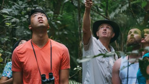 Nocturnal Rainforest & Wildlife Tour from Cairns