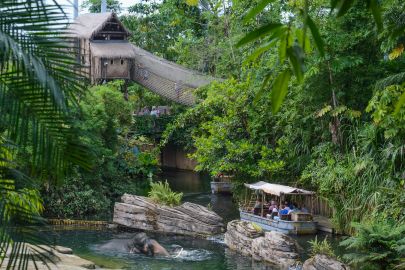 Wildlands Adventure Zoo Emmen: Skip The Line Entry Ticket