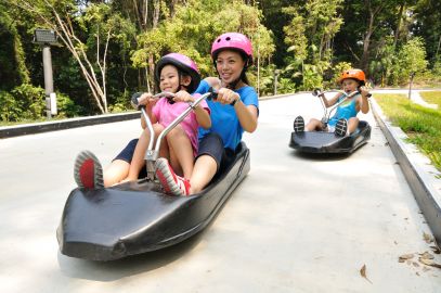 Skyline Luge Sentosa: Entry Ticket