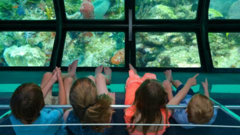 Glass Bottom Boat Key West